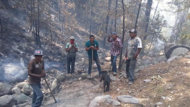 Con las uñas, voluntarios combaten los incendios forestales en Chihuahua; el Gobierno Federal se retiró