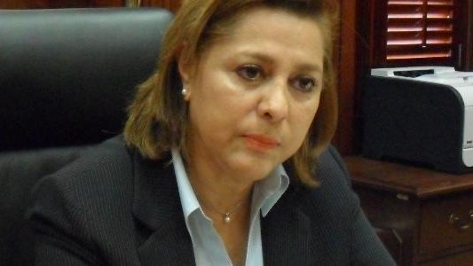 Eliminar tarifas de larga distancia: senadora Ortiz