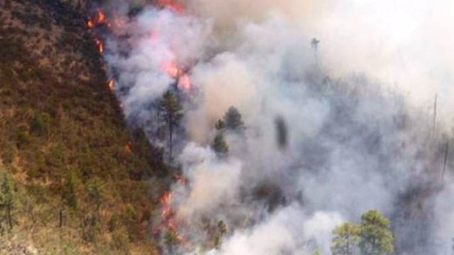 Cierra Chihuahua el 2012 siendo líder en incendios forestales