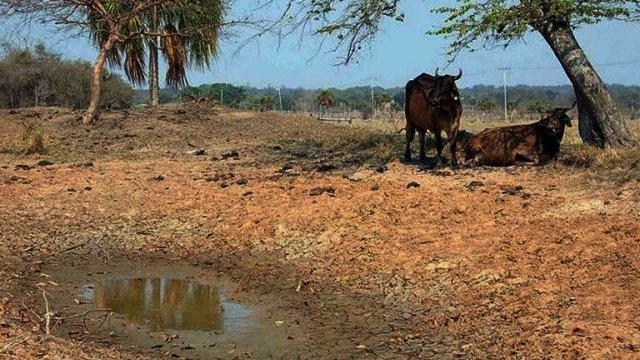 Sequía gana terreno en Chihuahua; avanza 16% en 30 días