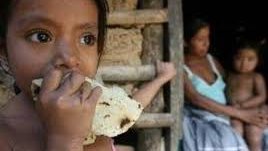 Un 40% de la población mexicana se ve afectada por la inseguridad alimentaria 