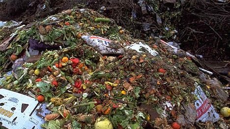 Se desperdician al día 30 mil toneladas de alimento en buen estado