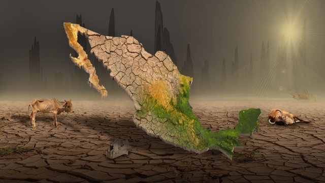 El oscuro panorama por las sequías en México: crisis alimentaria, incendios y muerte