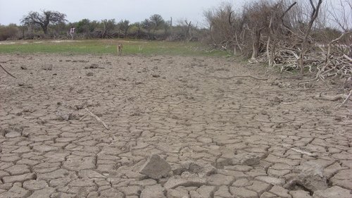 Deja sequía sin empleo a cuatro mil jornaleros