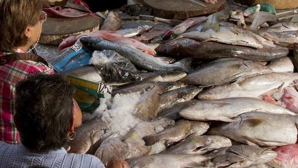 Se dispara diez veces importación de mariscos en 15 años