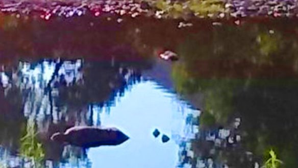 Encuentran flotando un cadáver en el río Sacramento