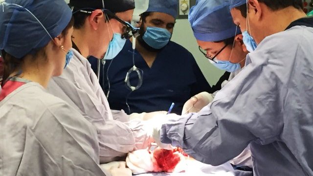Vendían órganos donados; despidieron al director del Centro de Transplantes