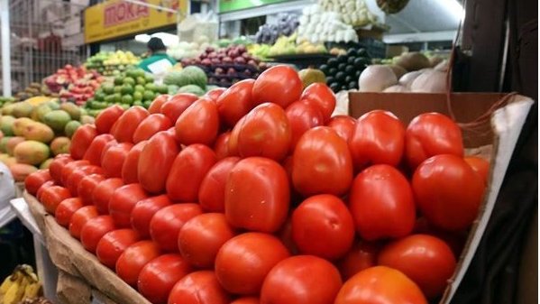 Precio de tomate alcanza los 45 pesos por kilo