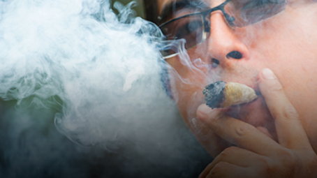 10 datos que debes saber sobre la mariguana en México y el mundo