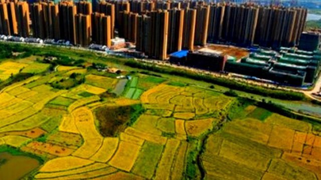 ¿Puede China alimentar a su población?