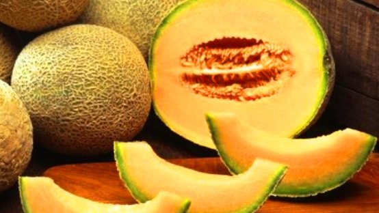 Un melón mediterráneo de hace más de 3 mil años