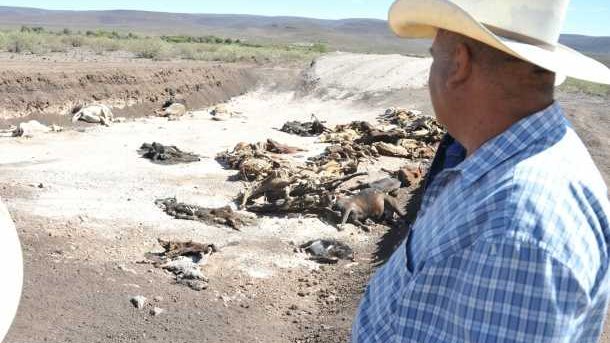 Apocalíptico e inexorable, avance de la sequía en Chihuahua