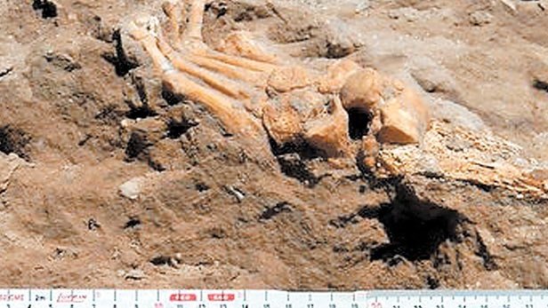 Encuentran esqueletos del Siglo XVII en Juárez