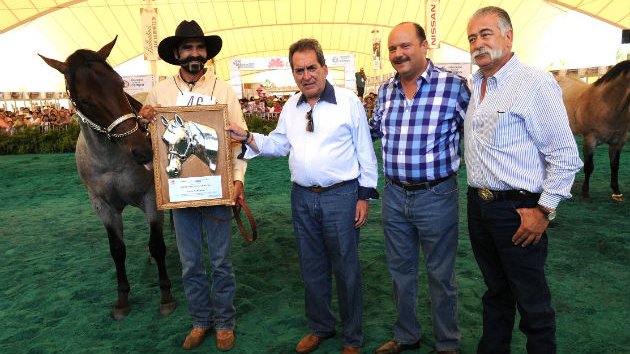 Recibe Gobernador de Chihuahua caballo, en nombre de la UGRCH