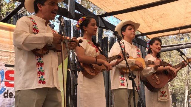 Huapango veracruzano en el Festival Sol de Acantilados