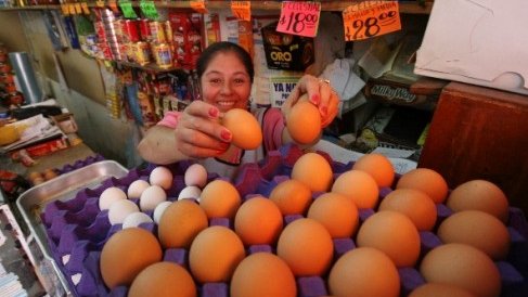 Sale ganón Bachoco con el aumento del precio del huevo