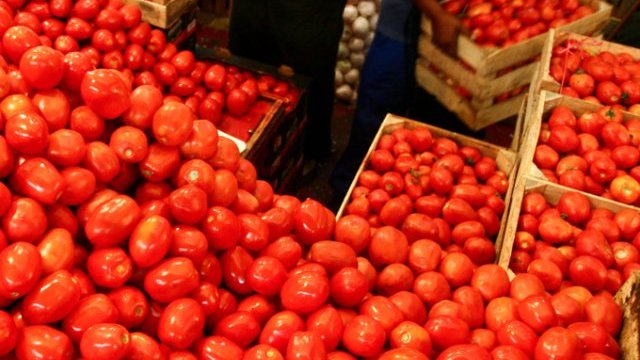 Prevén alza en precio del tomate mexicano en EU