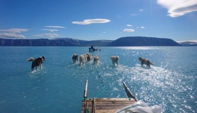 Foto revela alarmante deshielo de glaciares en Groenlandia